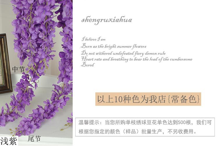 绣球豆花（单节）_12