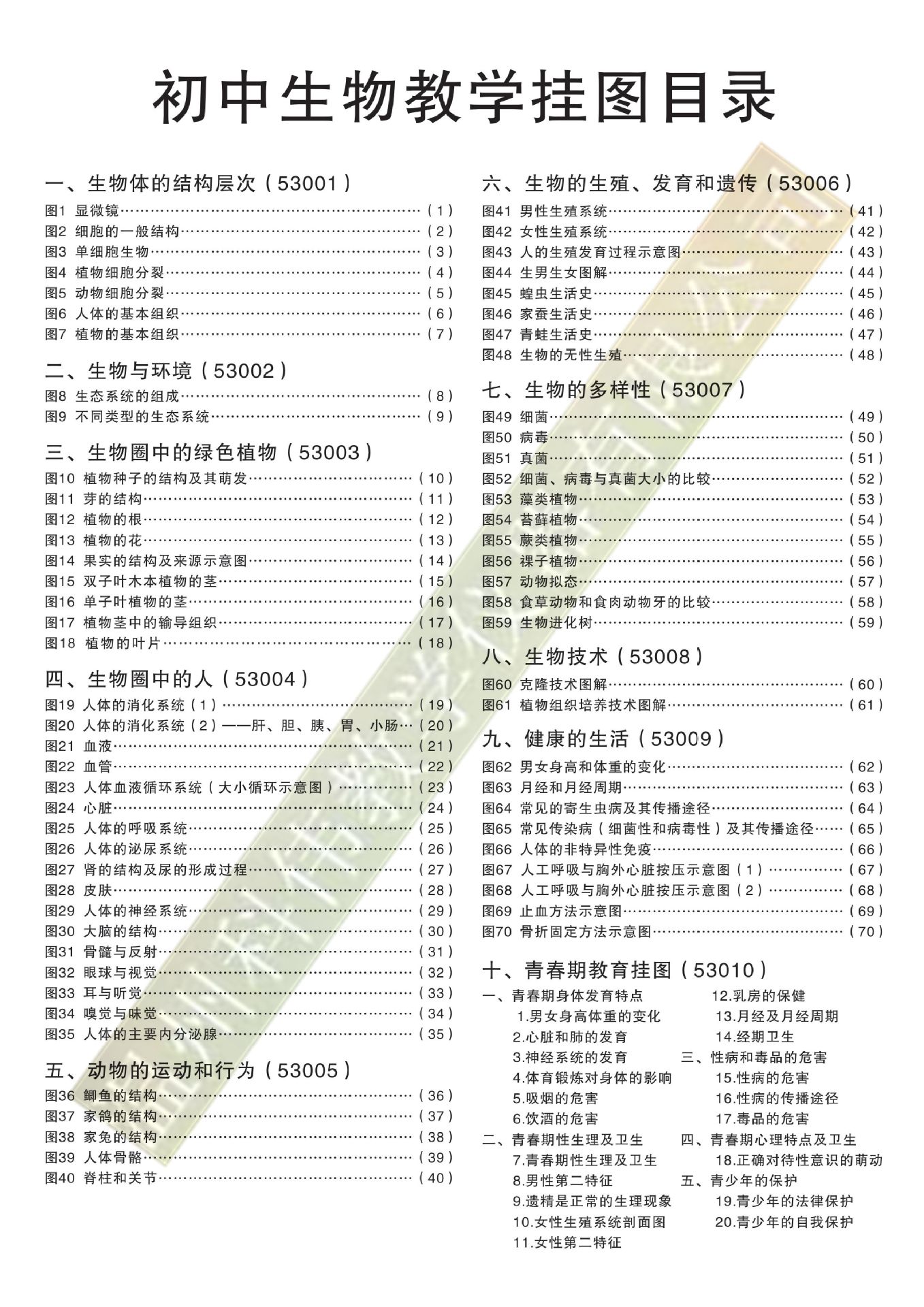 初中生物教学挂图