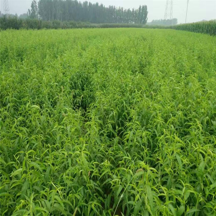 QQ图片20160901122023