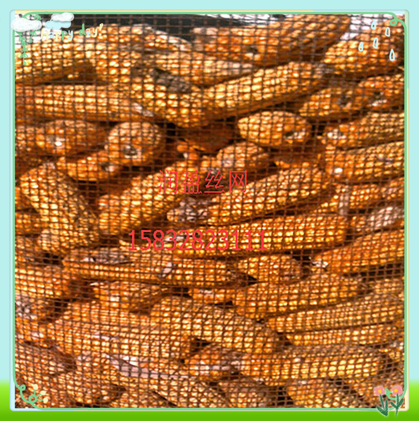 不锈钢电焊网 电焊网片 圈养用不锈钢 润盈丝网厂家