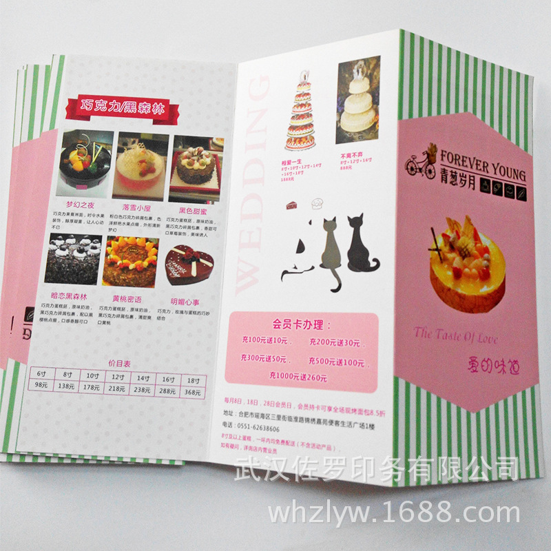 武汉二折页三折页四折页产品画册说明书厂彩页铜版纸可印折页印刷