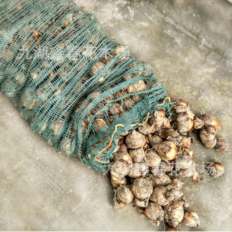 TB12UR.LXXXXXaLapXXXXXXXXXX_!!