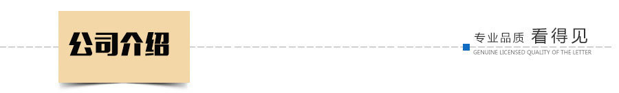 公司介绍
