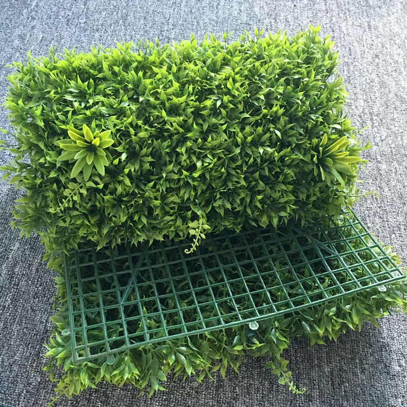 QQ图片20160707150111_副本