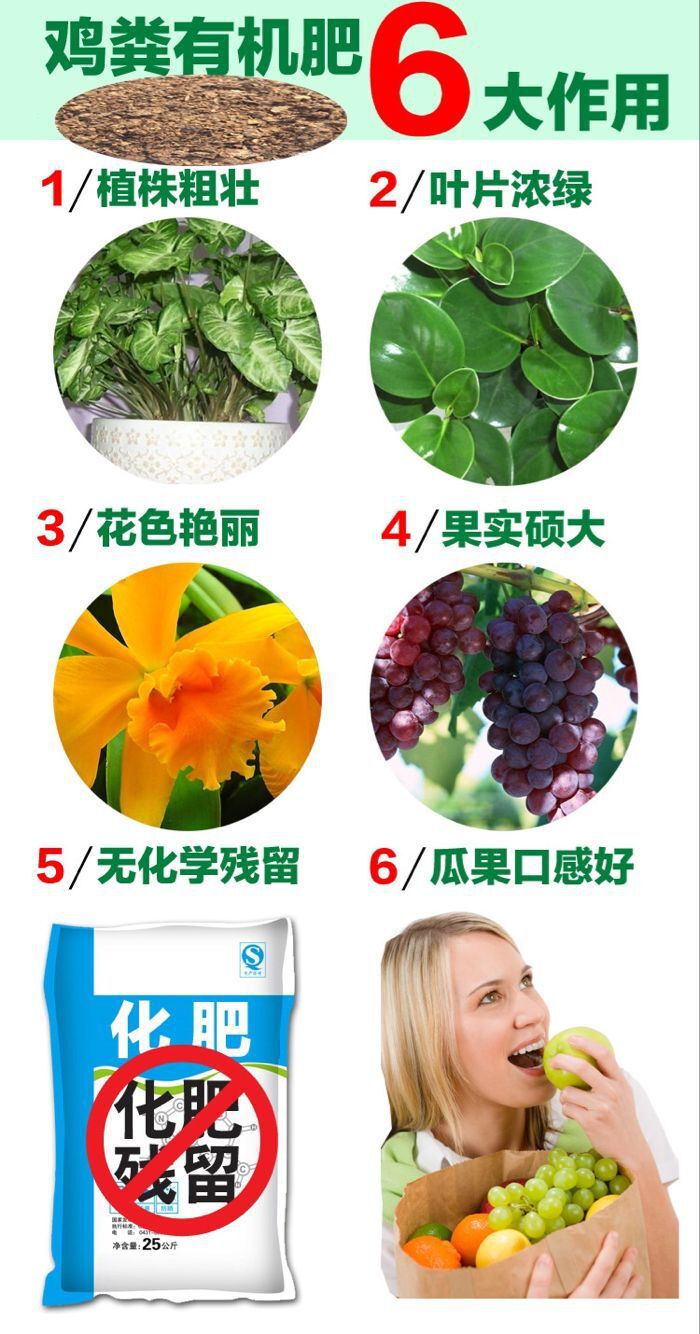 鸡粪有机肥6大作用
