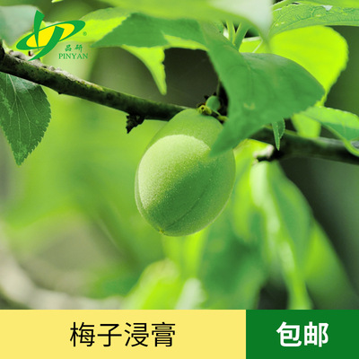 spice Plum Extract py-1310G0021 Model Essence spice Manufactor