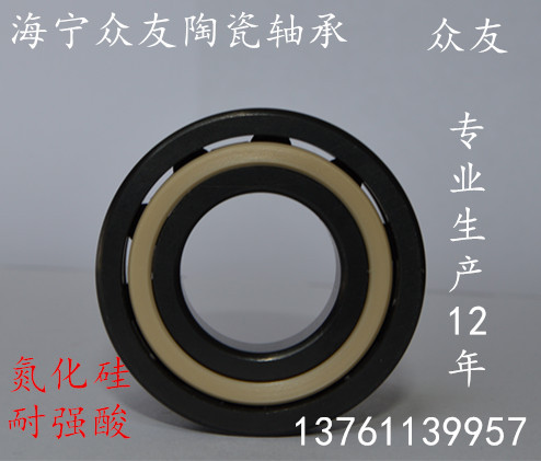 海宁陶瓷轴承 真空轴承 628氮化硅Si3N4陶瓷轴承