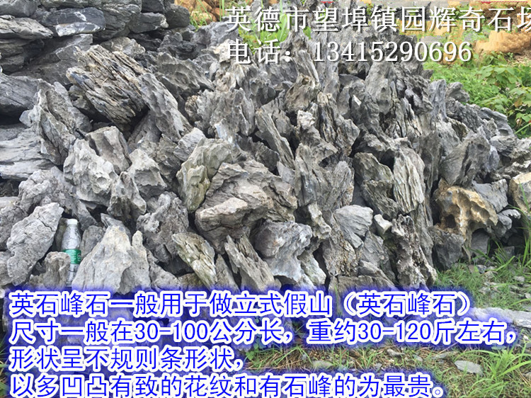 青龙石和英德石区别,青龙石跟英石是一种吗,青石和青龙石区别(第2页)_大山谷图库