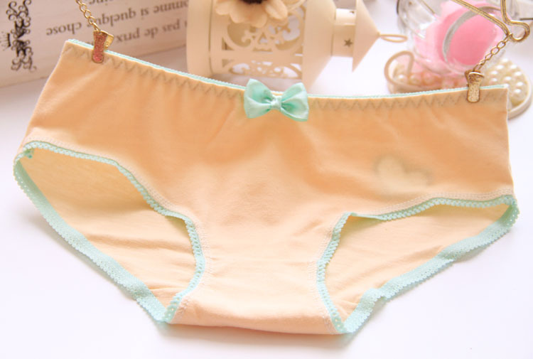 Slip en coton - Ref 653018 Image 28