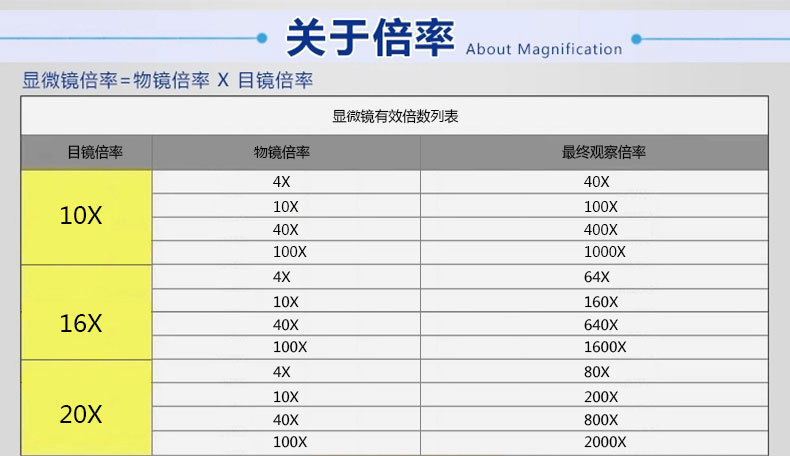 视频显微镜8_09