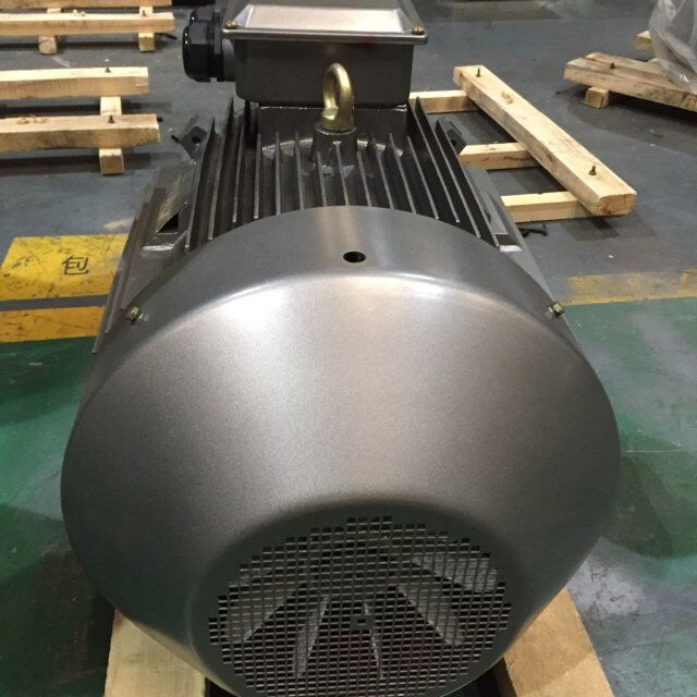 YE3-315L2-6 ��ѹ����132KW�����͵�� ˫���� ������ ���Ƶ��