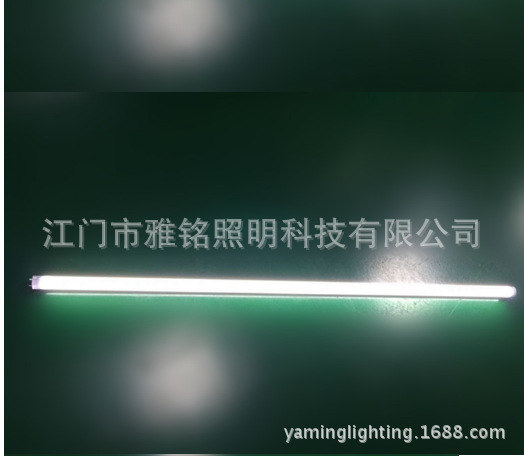 T8分体应急灯管1