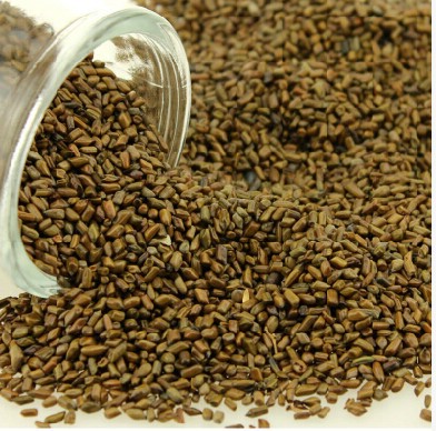 特價新貨兒童決明子玩具沙 沙灘玩具套裝玩沙玩具