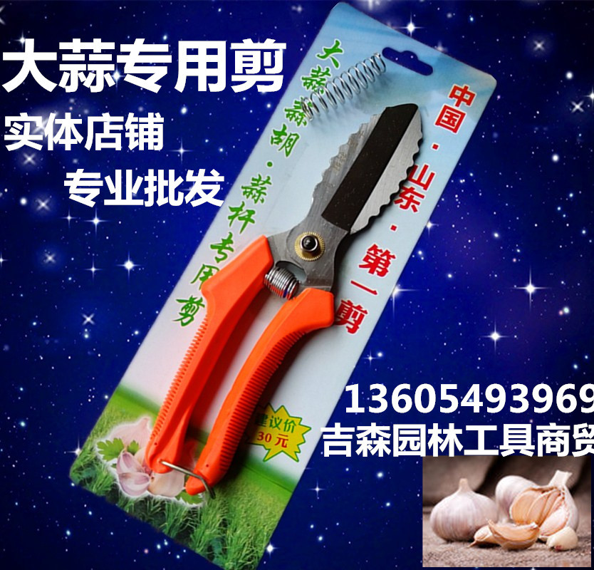 厂家批发高级大蒜剪刀 洋葱蒜头专用剪 剪蒜头蒜根蒜茎 大头剪刀