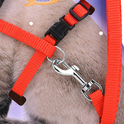 Wholesale cat rope chest strap I-shaped cat walking nylon leash cat harness pet leash