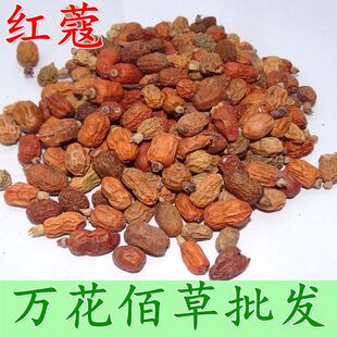 ������ �tޢ ���l ɢ�b  �{ζ����С�t����