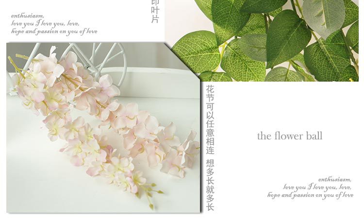 绣球豆花（单节）_22