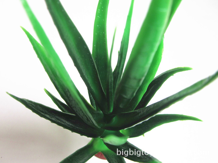 IMG_4285_副本 - 副本