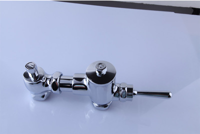 quality goods Flushing valve K-8882T-CP Pissing Flushing valve Inlet pipe) Flush valve
