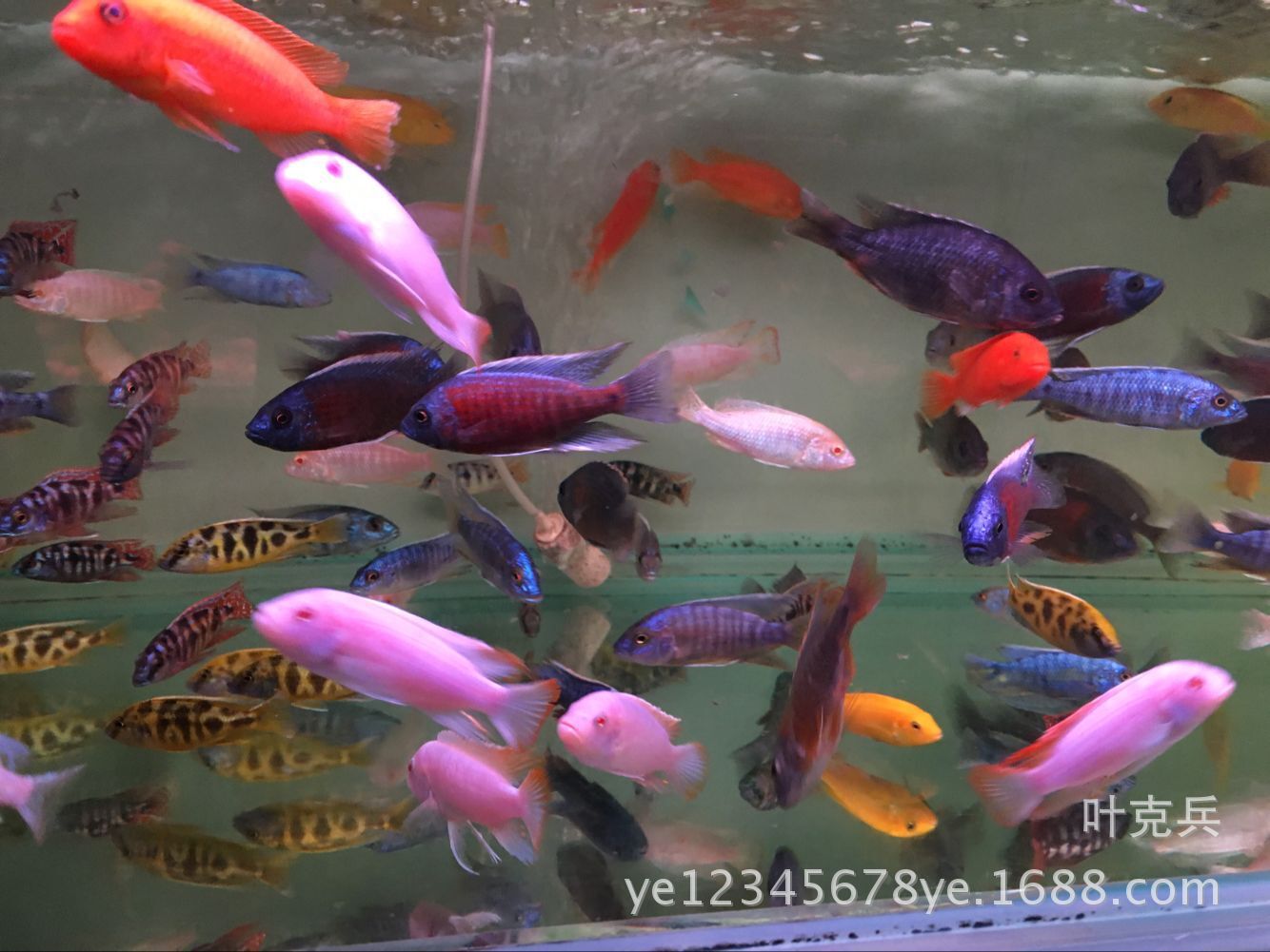 QQ图片20160307112219