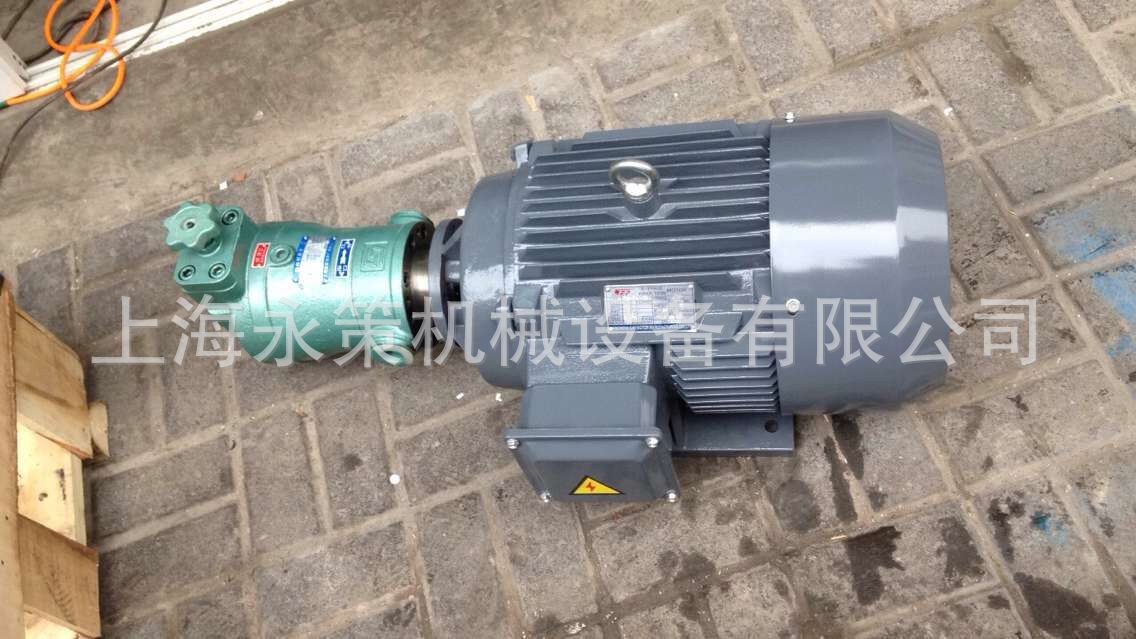 Насосный агрегат Shanghai 25SCY стандарт
