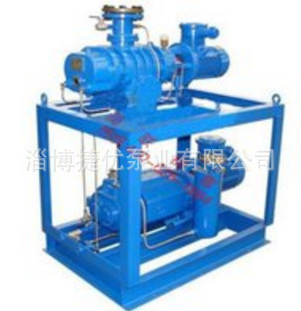 罗茨真空机组 厂家直销 售后保障【图】气泵真空泵