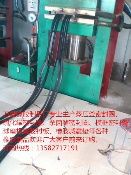 优质蒸压釜密封圈，高压釜密封圈，杀菌锅密封圈，硫化罐密封圈。