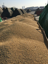 美国大豆价格_今日最新美国大豆价格行情走势