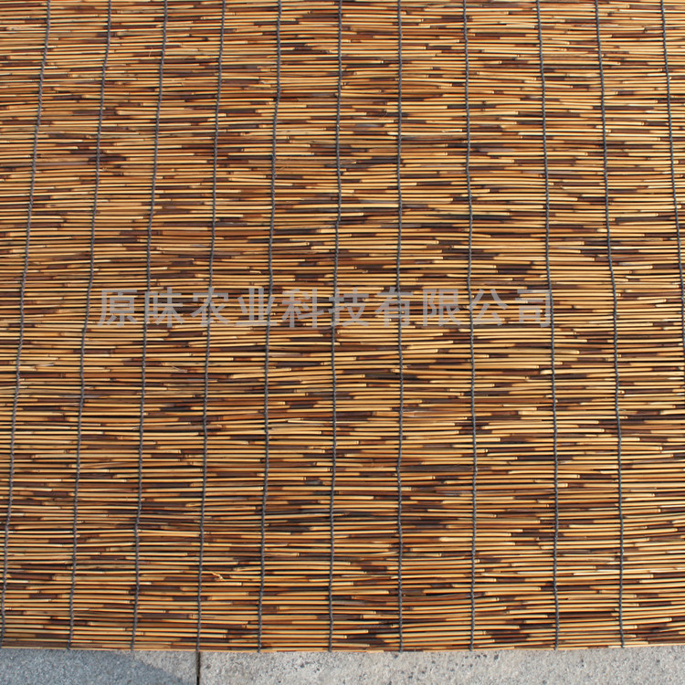 IMG_0940_副本_副本