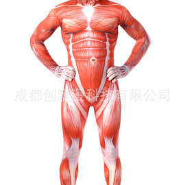 cosplay进击的巨人肌肉装/zentai全包紧身衣/50M级筋肉人影视服装
