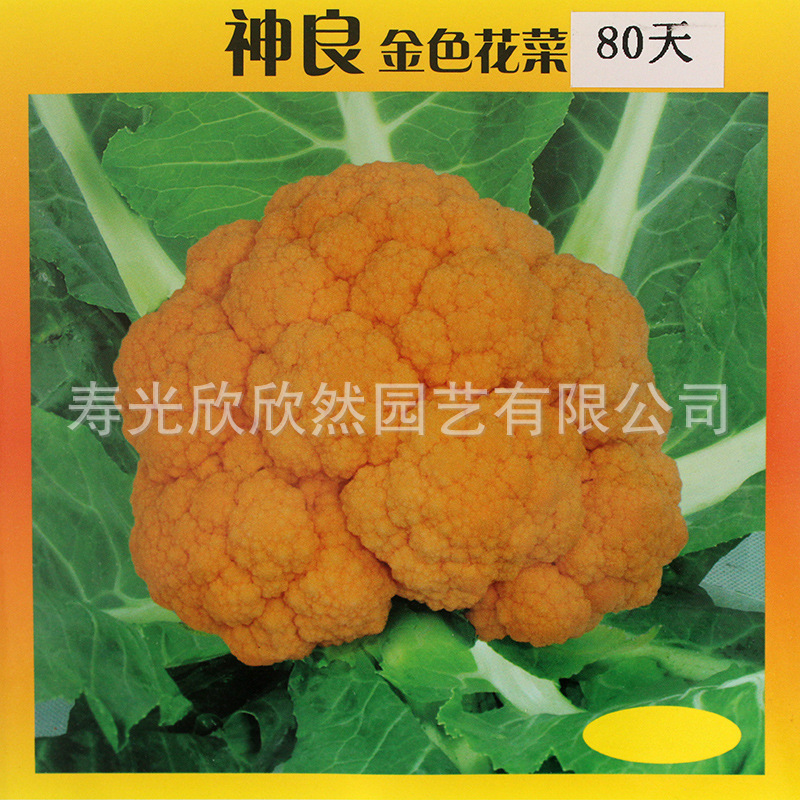 神良金色花菜种子特色蔬菜生长快高产抗病菜花黄色花椰菜种子 阿里巴巴