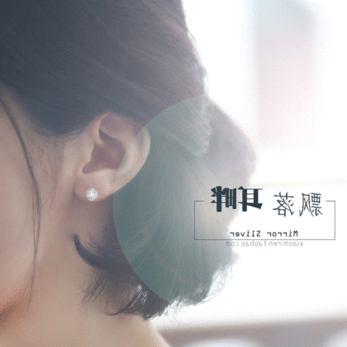 S925 sterling silver earrings, snowflake zircon diamond earrings, Korean fashion sterling silver jewelry, versatile