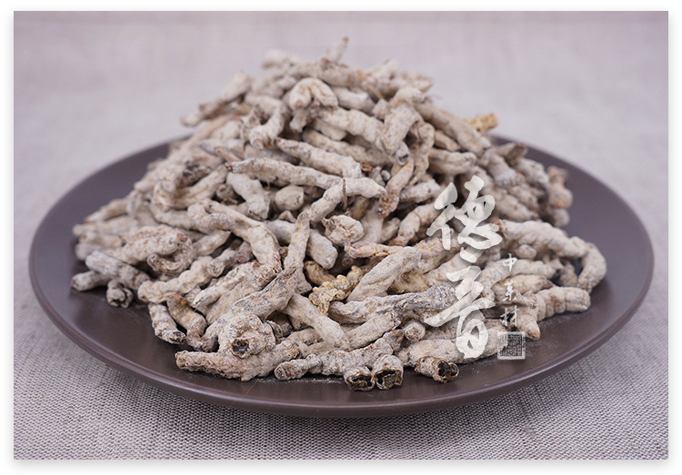 White Silkworm Jiang Can 500g Dried Bombyx Batryticatus Bulk Herb for Decoction and Powder quality and texture