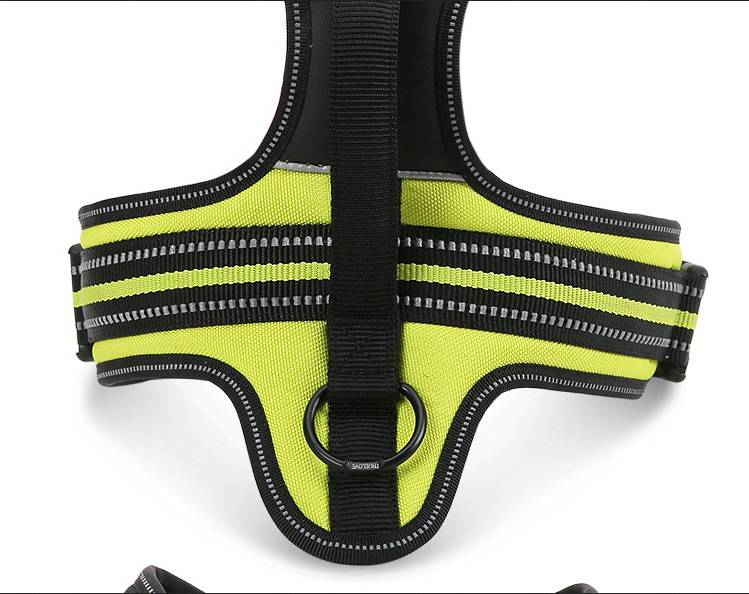 Pet Harness Image 6