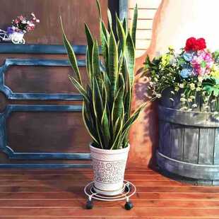 �FˇС���� �����F�����S��ֱ�N�����f��݆���s�F��