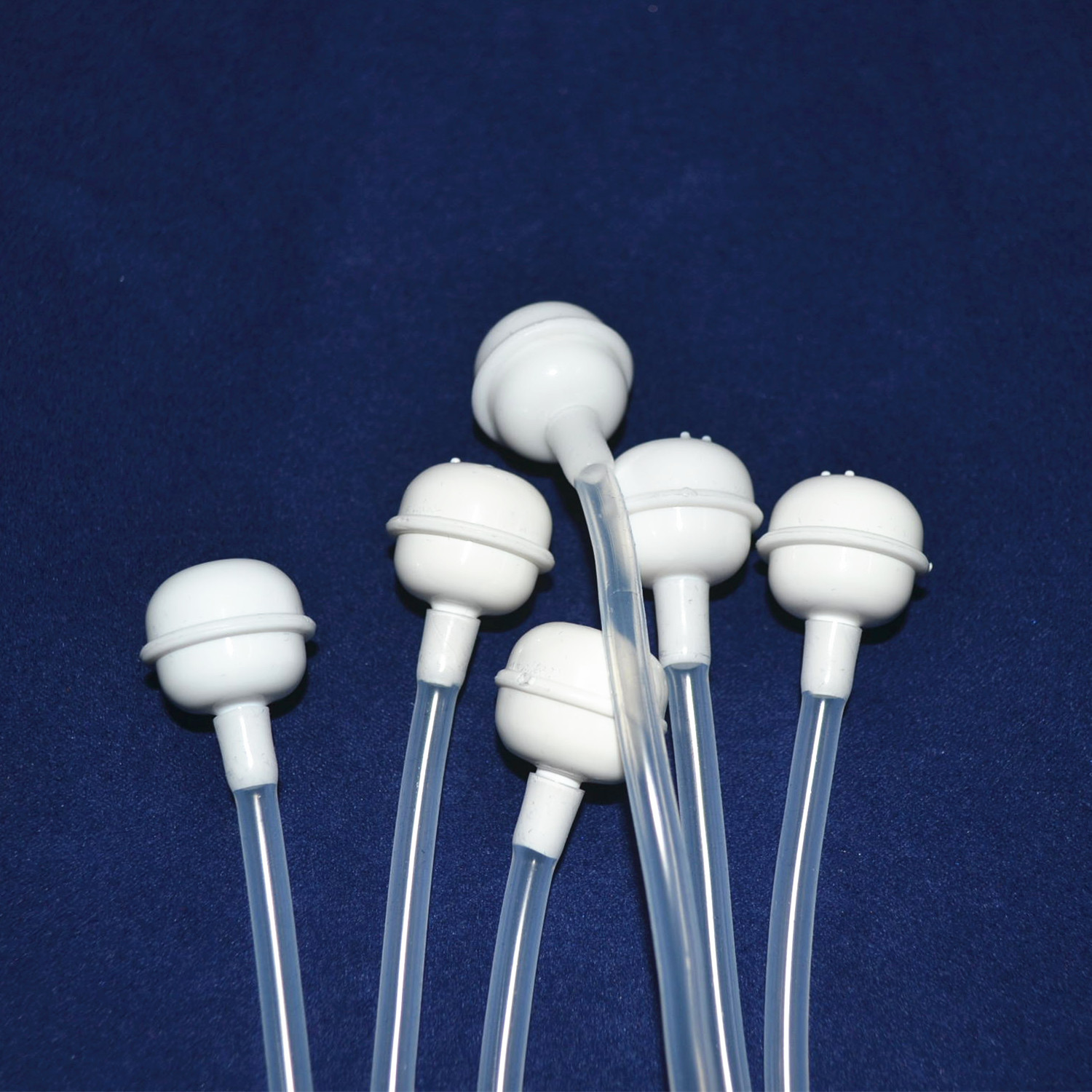 2426554046_331141915