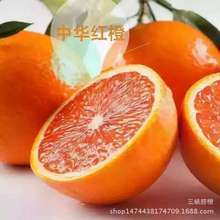 伦晚脐橙价格_最新伦晚脐橙价格\/批发报价_伦