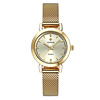 Genre Genuine 8823 Women's Web Belt quartz watch luminous waterproof watch women's watch manufacturer direct sales