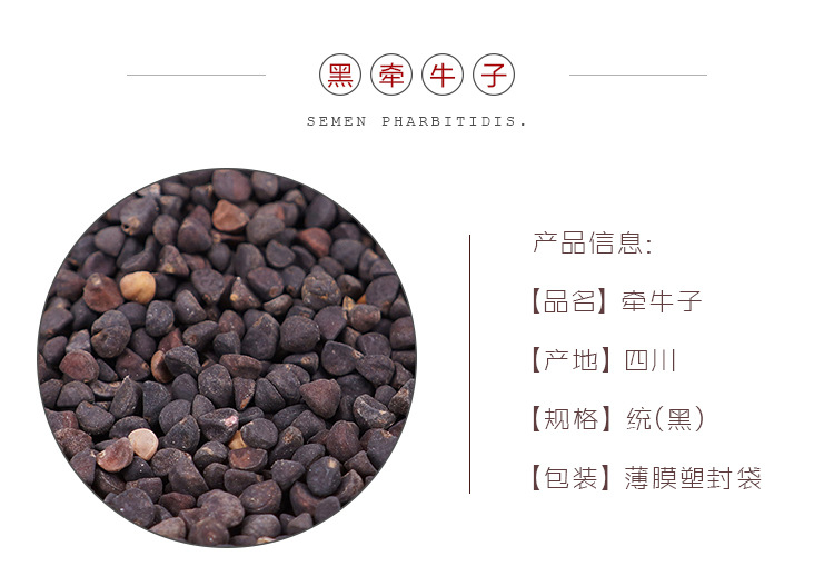 Black Pharbitis Seed Hei Qian Niu Zi Dried Sichuan Herb 500g Traditional Decoction Material overview