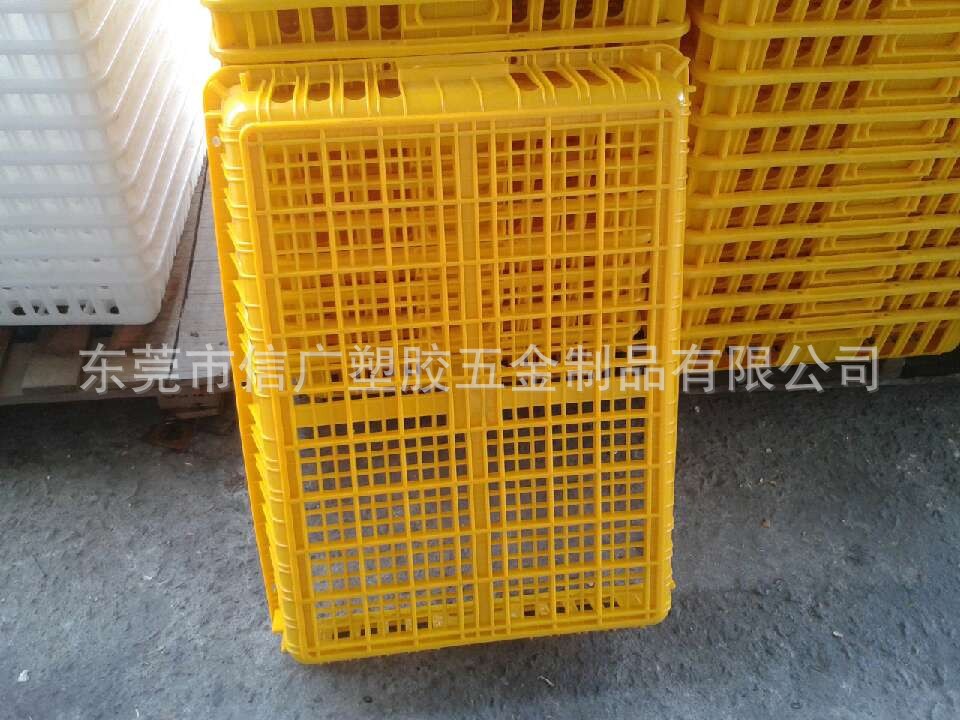 塑料鸡笼 雏鸡肉鸡成鸡周转笼 鸽兔鸭鹅养殖笼 塑胶活禽运输笼