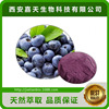 天然巴西莓提取物粉10:1 水溶巴西莓粉厂家 84929-28-2|ru