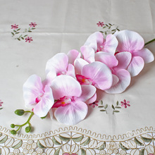 S꽁伈仨֧ 8^lb ߼ν