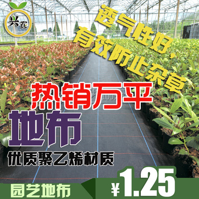 Polyethylene Material Science gardening Ground cloth Weed-proof cloth,Weed gardening Ground cloth Weeds Suppression Mats