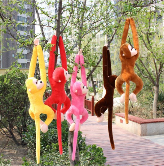 1970920423_2013110752