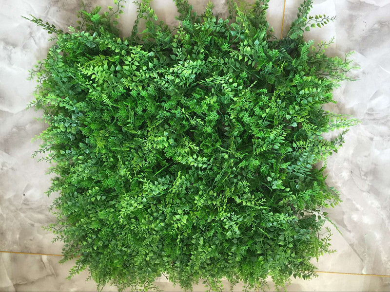 QQ图片20160707150202_副本