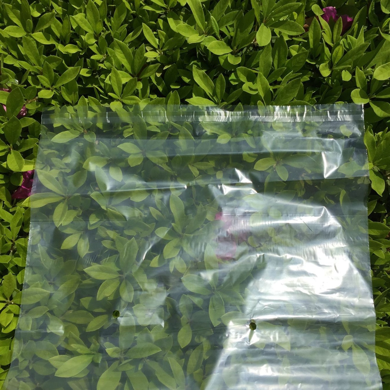 QQ图片20160419135436