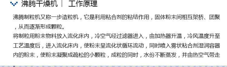 FL系列沸腾制粒干燥机 食品制药化工包衣制粒设备生产厂家