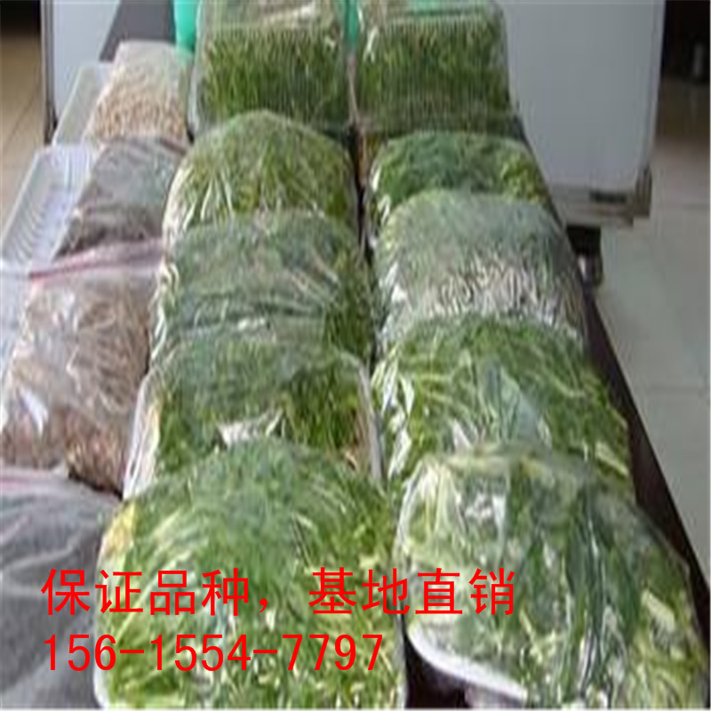 u=2962792781,22363392&