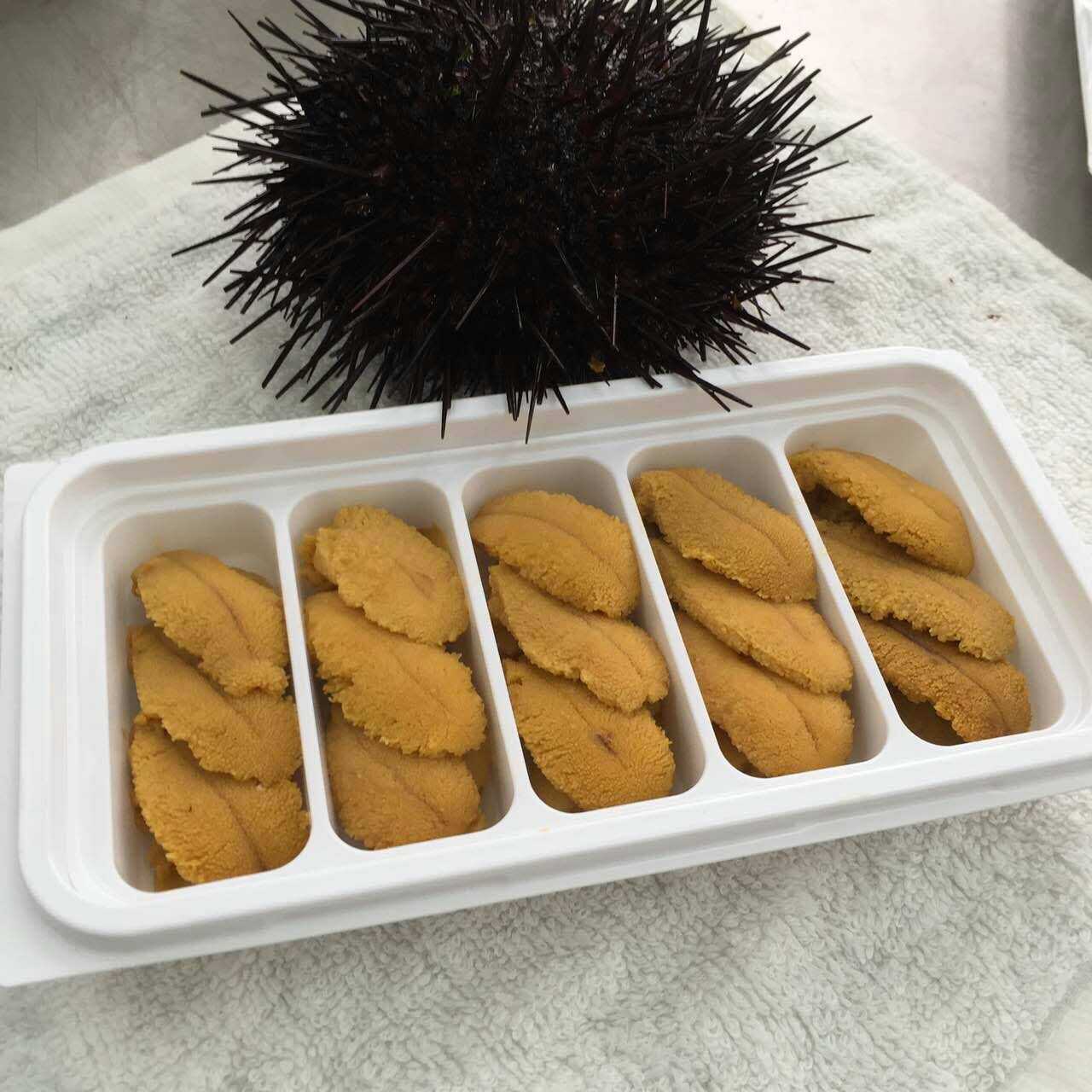 Dalian Fresh Sea urchin Strongylocentrotus purpuratus Horse dung Sea urchin Chilled Sea urchin Cold Chain Direct 2 pounds From the bulk Discount