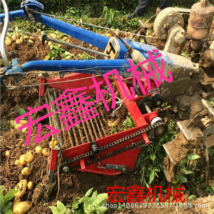 QQ图片4_副本